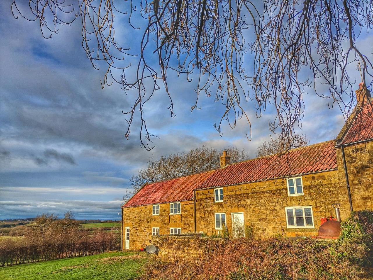 Park House Bed & Breakfast Ingleby Arncliffe Exterior photo
